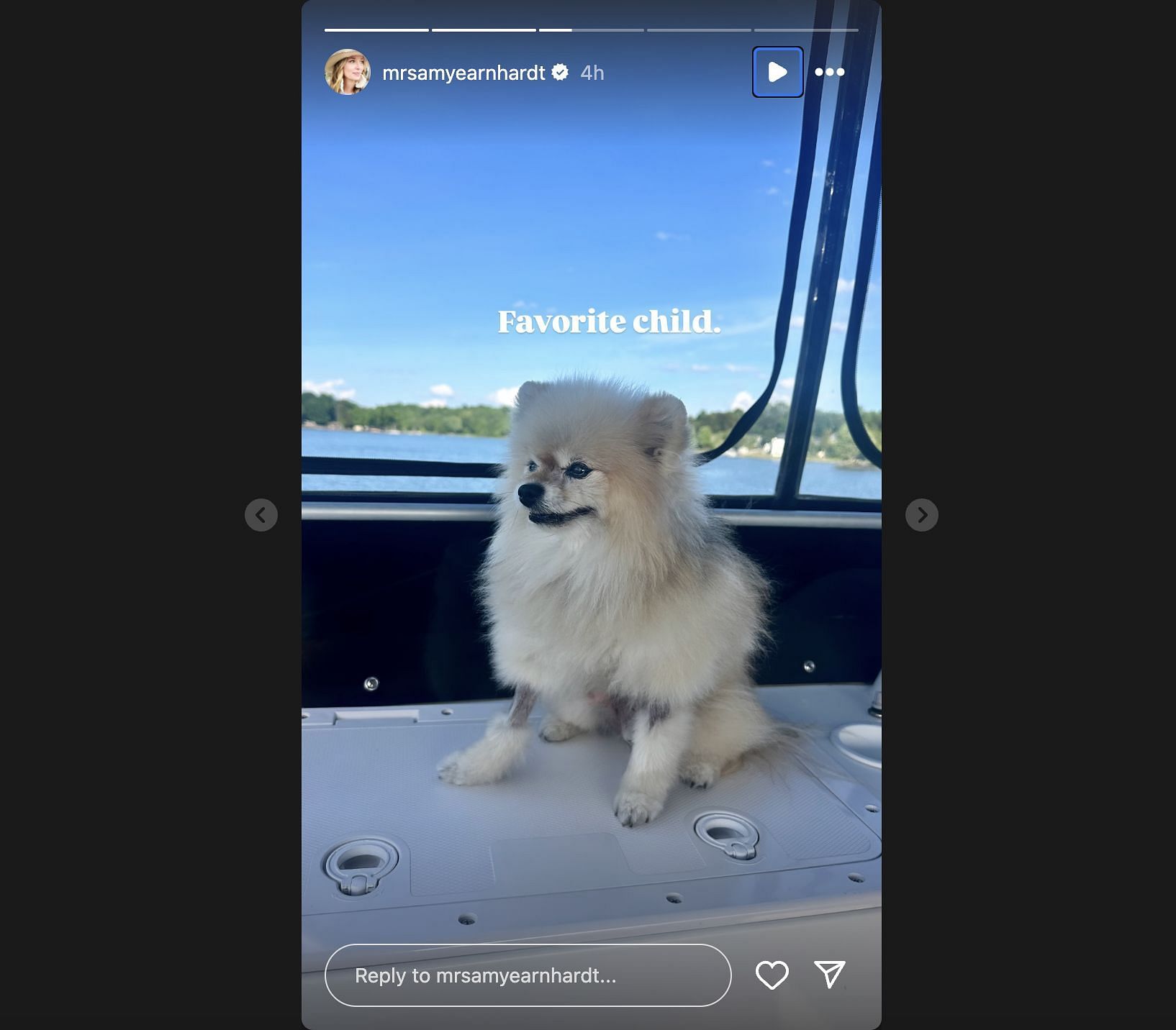 Dale Earnhardt Jr.'s wife Amy posts Instagram story about her dog. Source: @Instagram/amyearnhardt